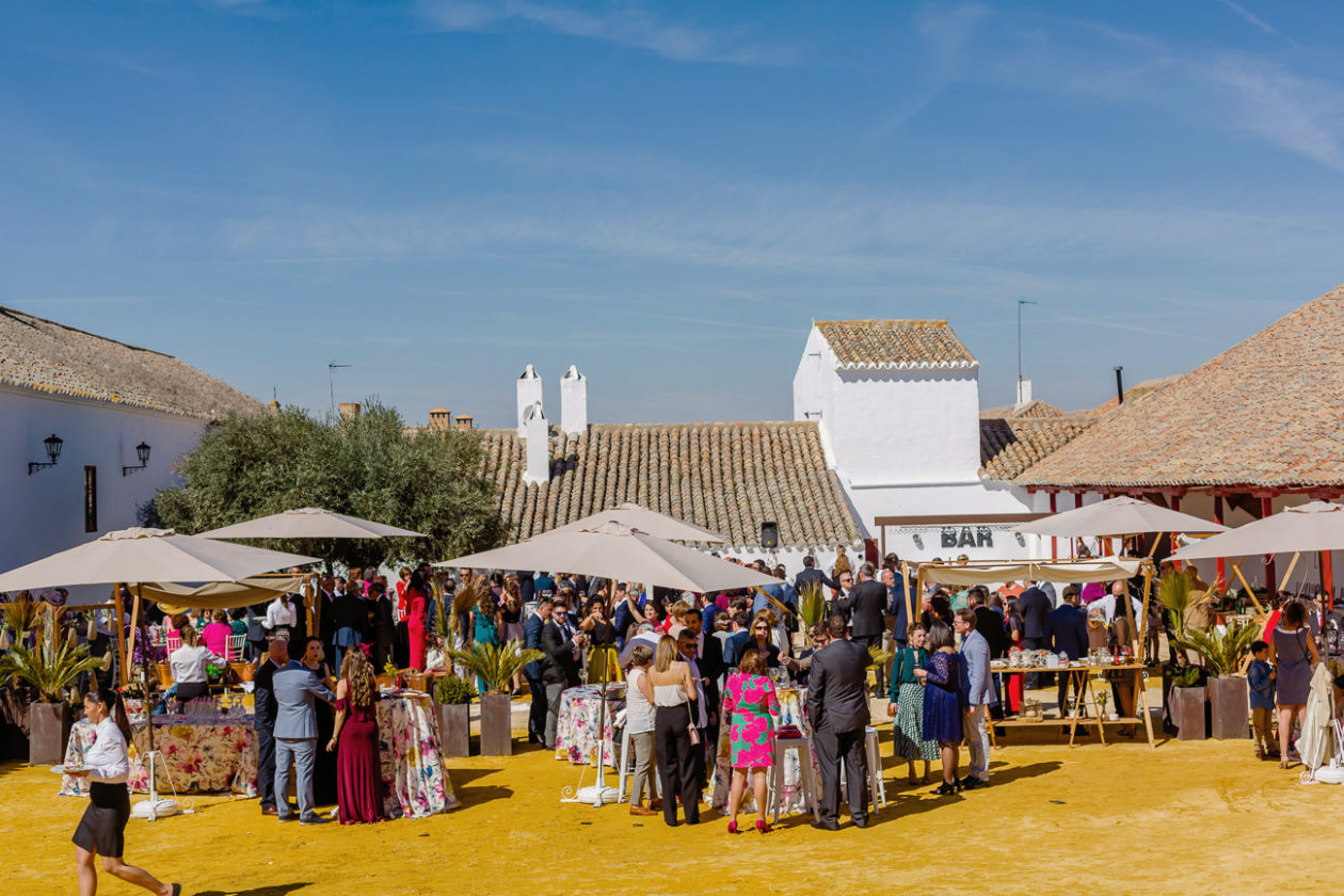 Patio del Albero, Finca La Membrilleja