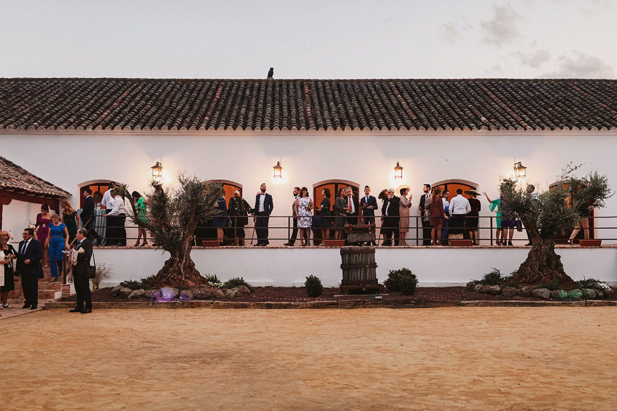Patio del Albero, Finca La Membrilleja